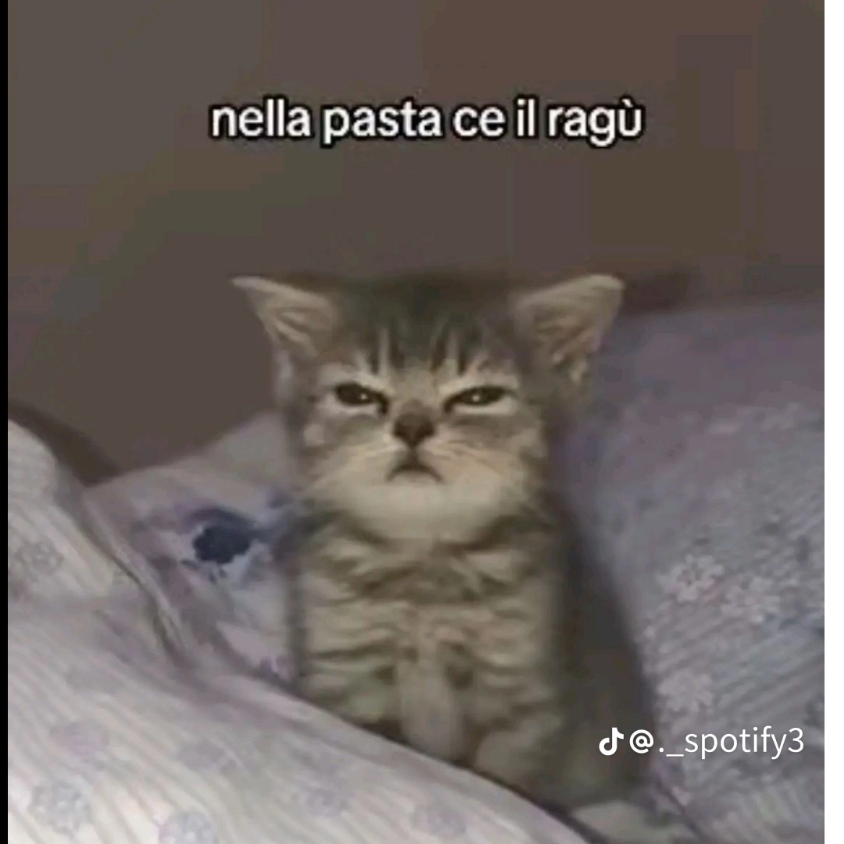 Ragù