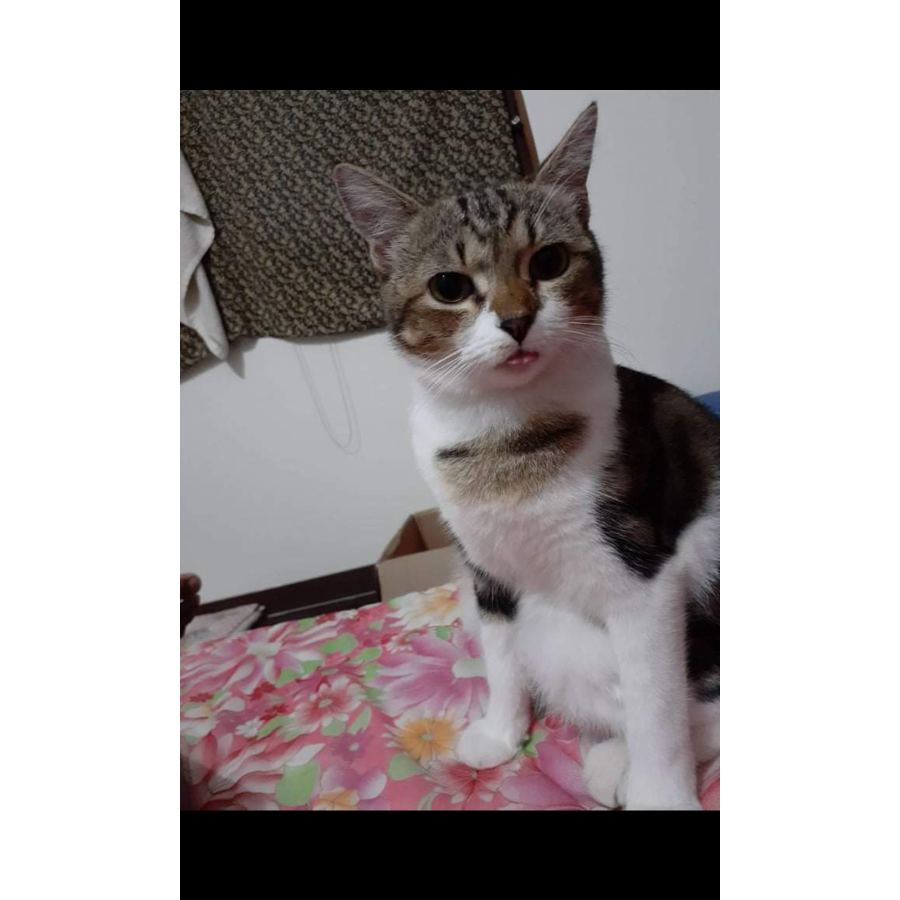 ไม่ต้องพูด