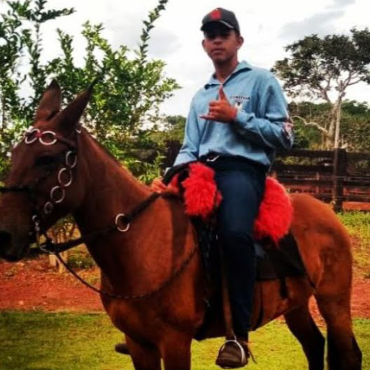 Pedro Henrique Carvalho