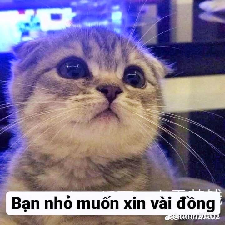 Xuân Quỳnh
