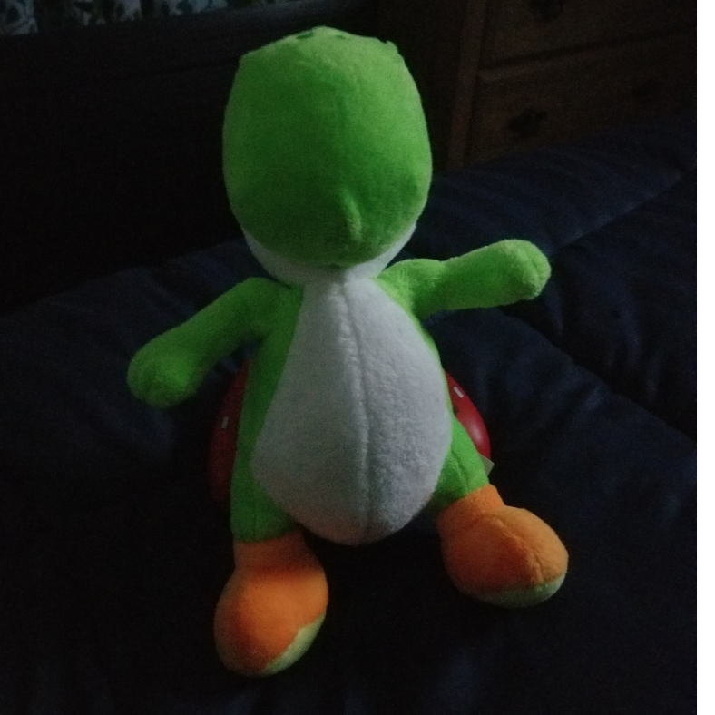 yoshi fan 🦖