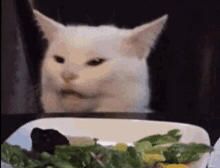 ~Slay~👁🫦👁💅