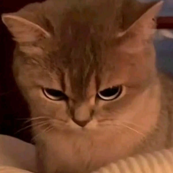 player のアイコン