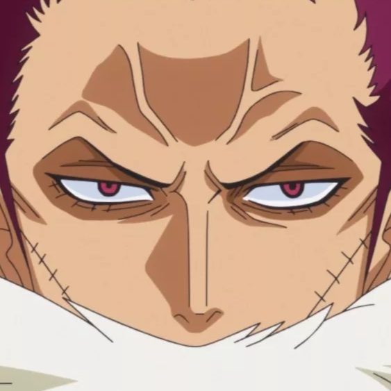 p katakuri 