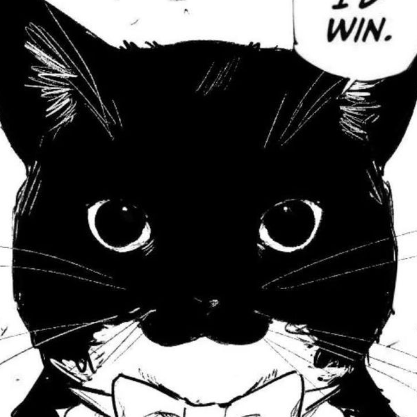 Cat xd
