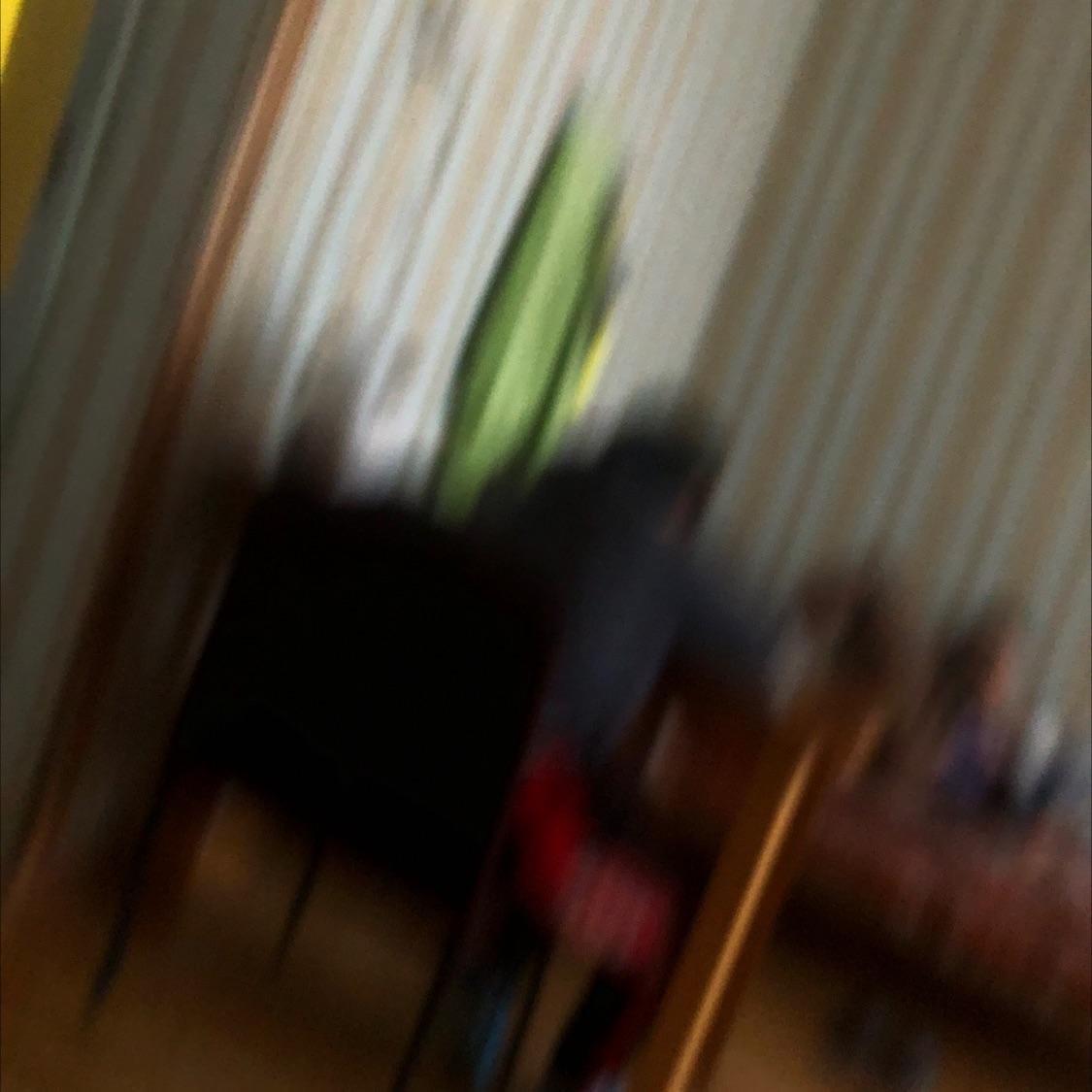 Baatrdorj