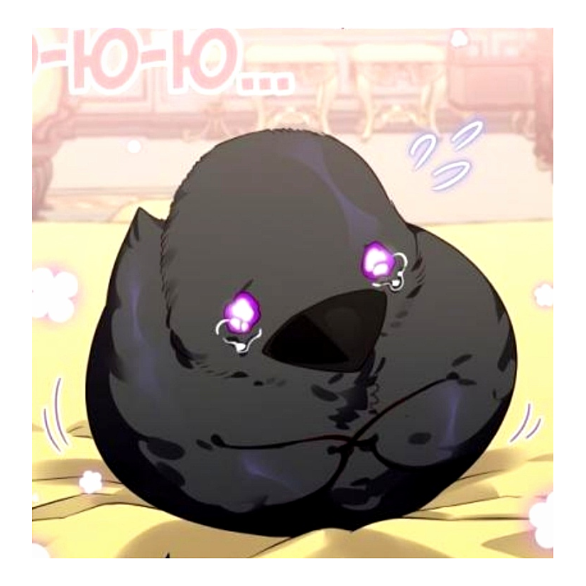 EmptyCat44