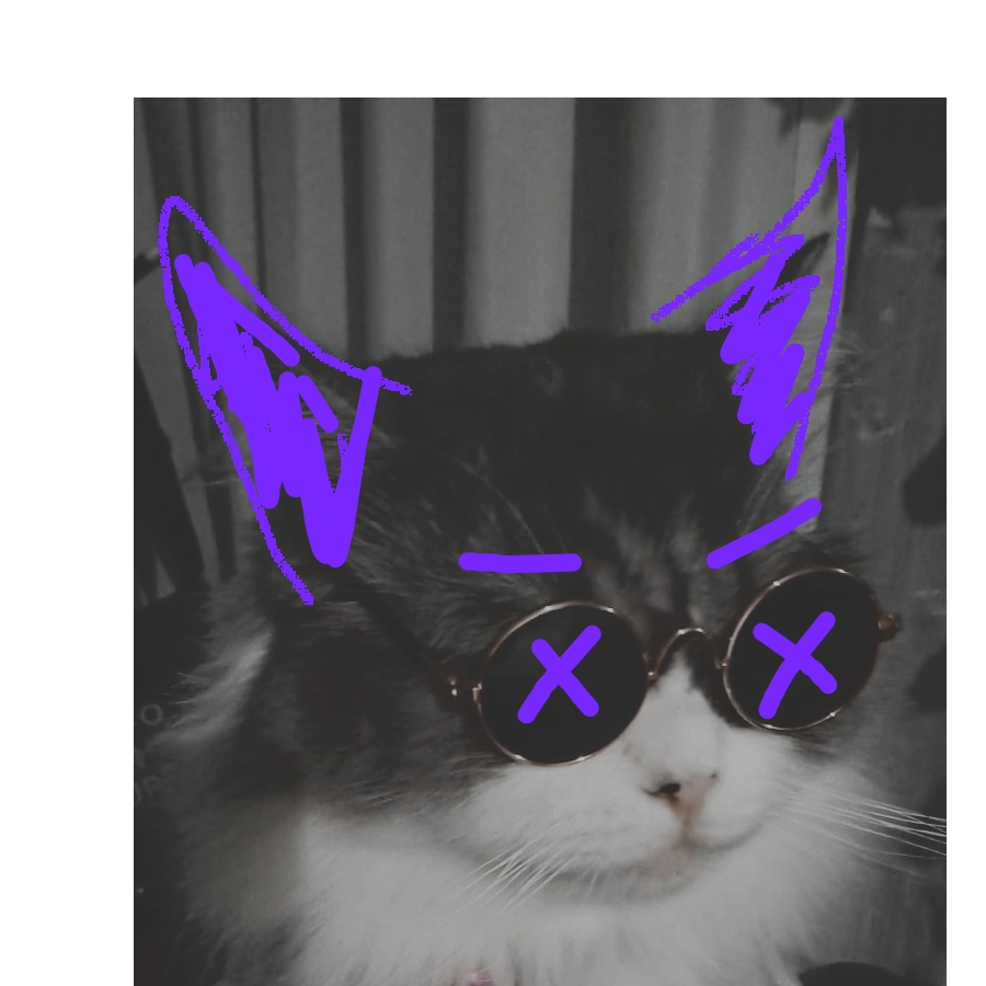 Althaf Farrouq Nayondra