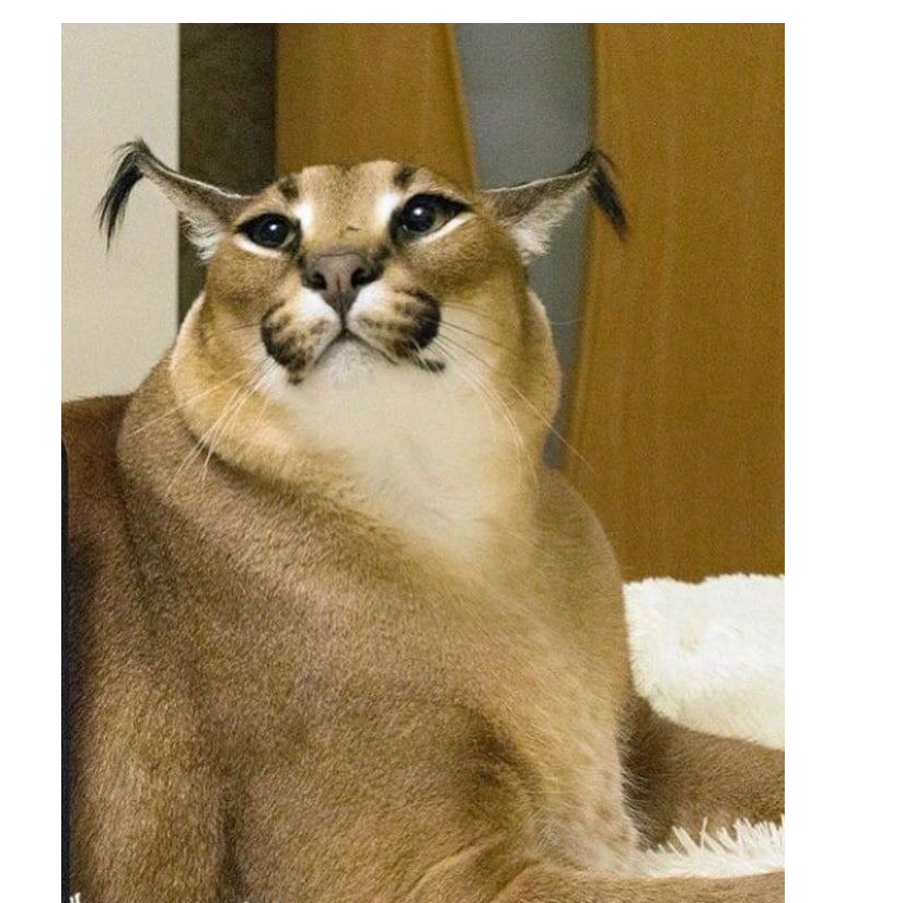 Сергей Сараев