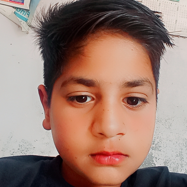 अरमांसल