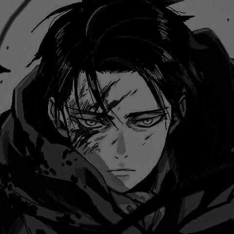 Levi