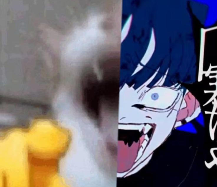 sock