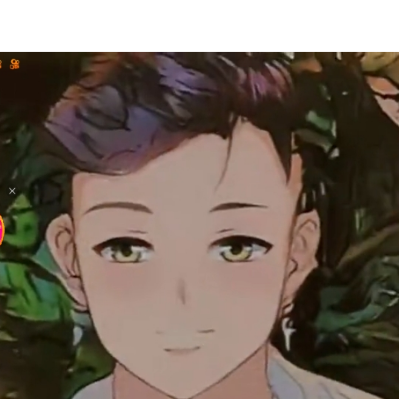 Nikolas Rafael Almeida Lopes