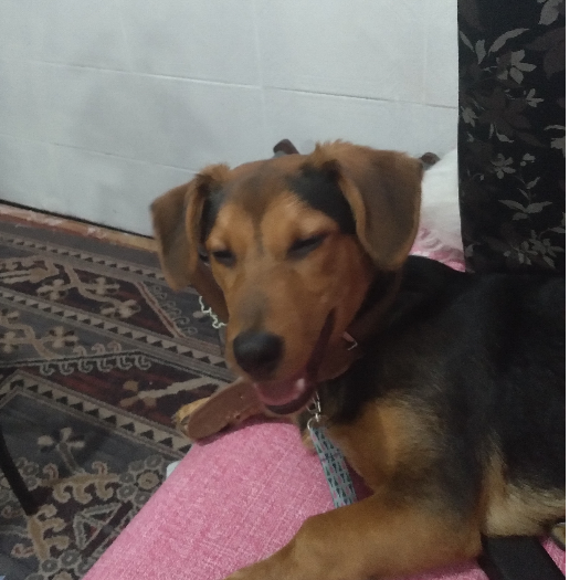 Maria Vitoria Da rosa Caetano