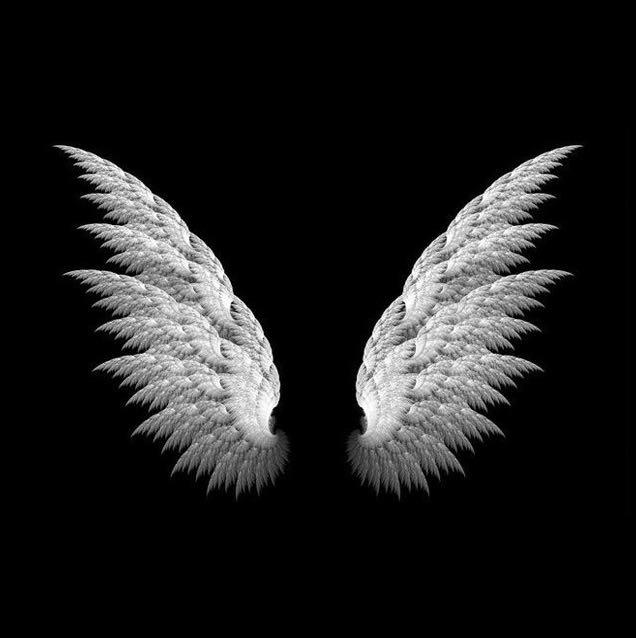 Wayne不是维尼🐻