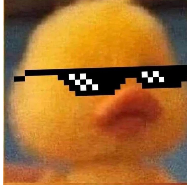 ducklyy.bich