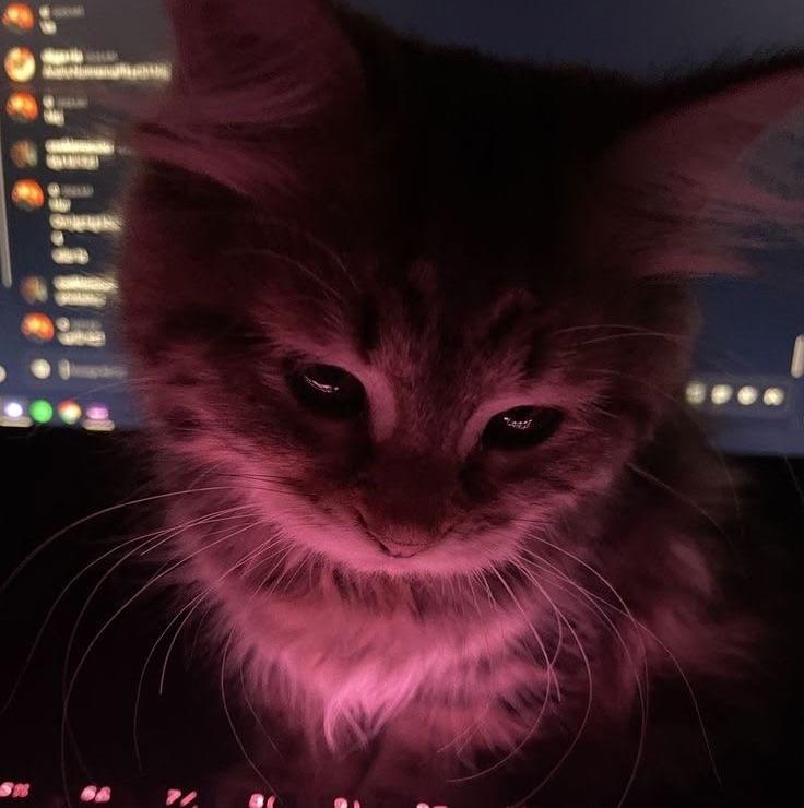 Parisa