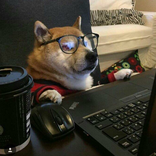 NEPΛLLIΛNCE • KRIS