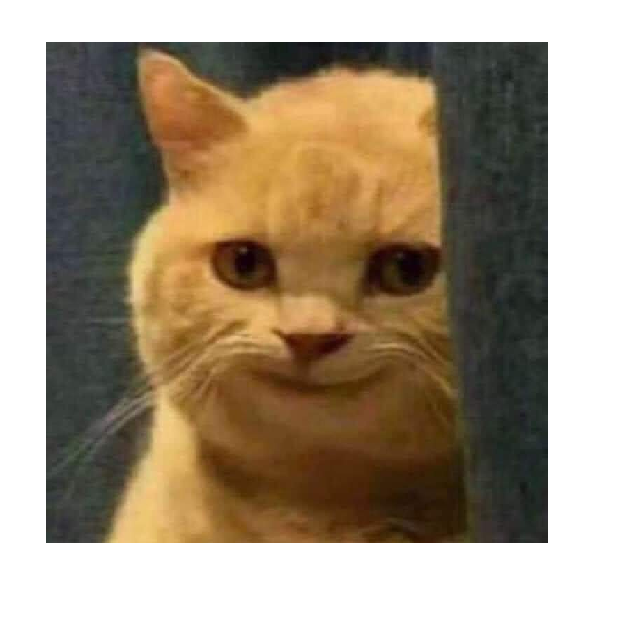 NGUYỄN VĂN VỮNG