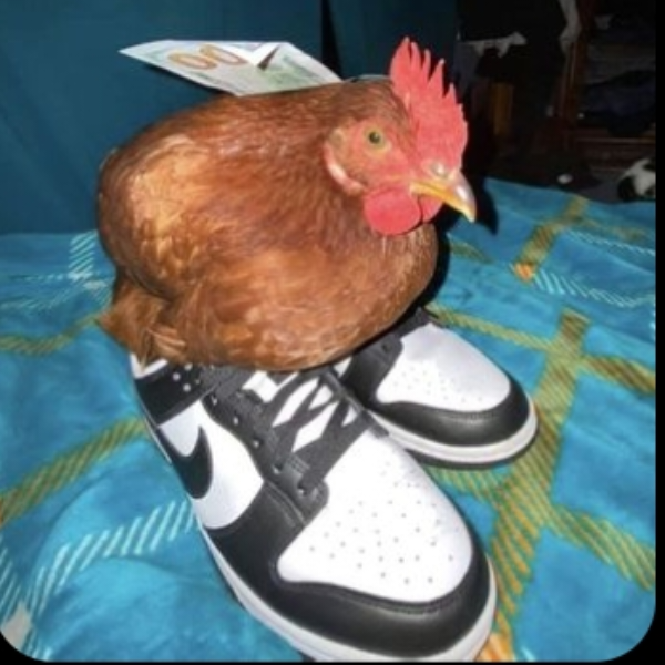 ¿¡mandindindindunmandindindun?