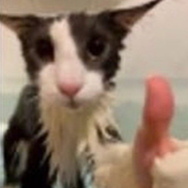 AnAverage PersonOnEarth