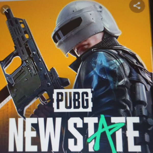 PUBG : NEW STATE