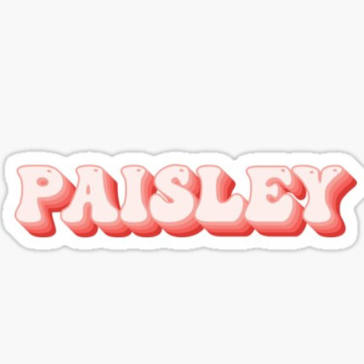 ~☆Paisley☆~