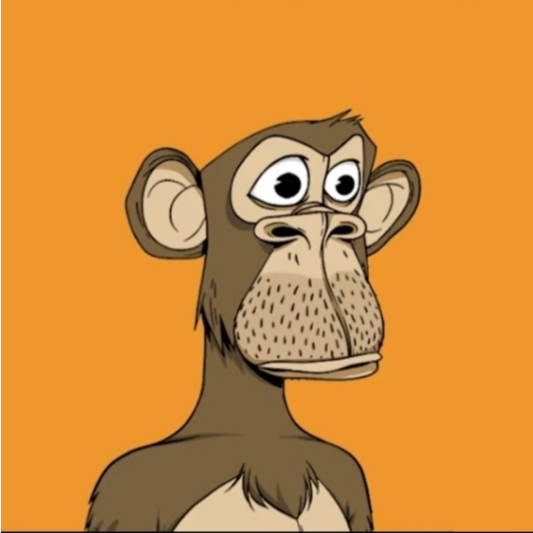 rich monkey