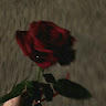 Sim.ply_mehh