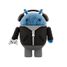 Flype