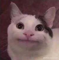 HappyKnight