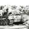 WittyTiger