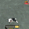 Icon of player