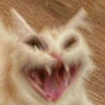 cheesecatz(Escope)