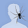 Icon of player
