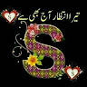 Icon of player