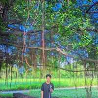 ko's may
