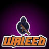 Waleed Shomis