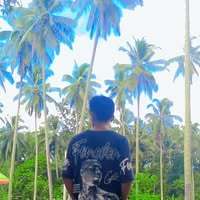 BraveBear