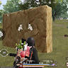Icon of player