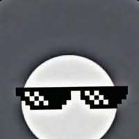 ZippyOwl