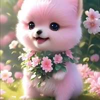 JazzyFox