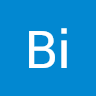 Bi Su