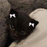 Kitty