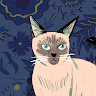 TinyFox