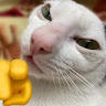 Annh Thhư