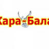 Aitkoja pro