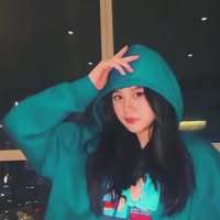 WittyFox
