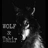 Tahir Khan