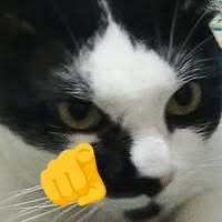 ดูดยา